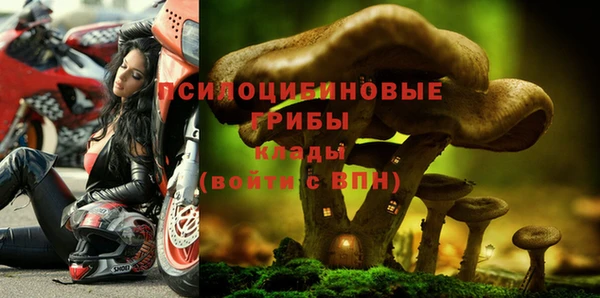 марки lsd Абаза