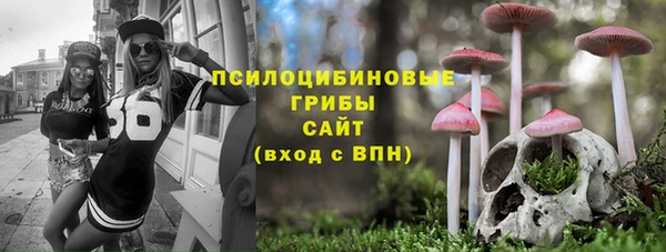 тгк Армянск