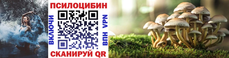 мега вход  Тамбов  Псилоцибиновые грибы прущие грибы  цена  